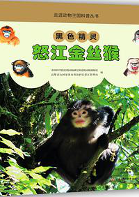 《黑色精灵：怒江金丝猴》