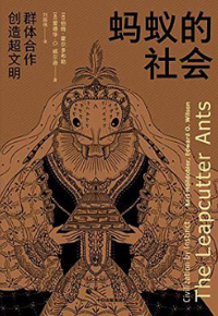 好书推荐：《蚂蚁的社会：群体合作创造超文明》