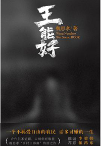 好书推荐：《王能好》