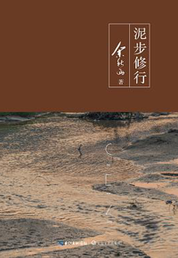 好书推荐：《泥步修行》