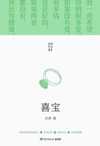 好书推荐：《喜宝》