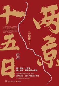 好书推荐：《两京十五日》
