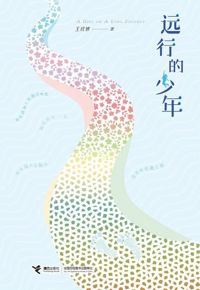 好书推荐：《远行的少年》