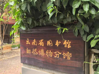 预告|云图自然博物分馆周日活动