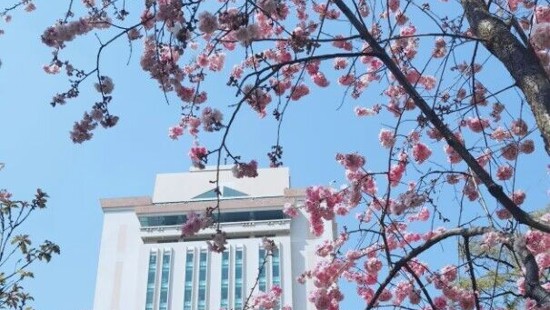 云南省图书馆中外文图书借阅室寒假志愿者招募通告