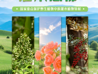 文化惠民·每周一展丨灌木界“全能选手”图鉴