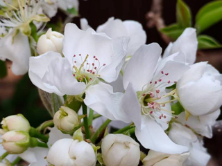 活动预告丨二十四节气雅集系列活动之春分雅集